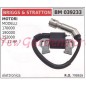 Bobina accensione briggs & stratton per motori modelli 170000 190000 252000  7 11 HP 039233