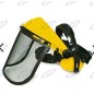 Professional protective visor with mesh screen and AMA ear muffs