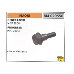 Vis de démarrage MAORI générateur MGP 2000i progreen PTG 2000i code 029556 | Newgardenstore.eu