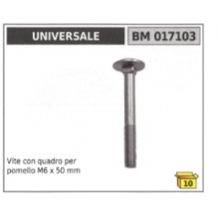 Schraube mit Vierkant für Knauf M6 x 50 mm UNIVERSAL-Rasenmäher 017103 | Newgardenstore.eu