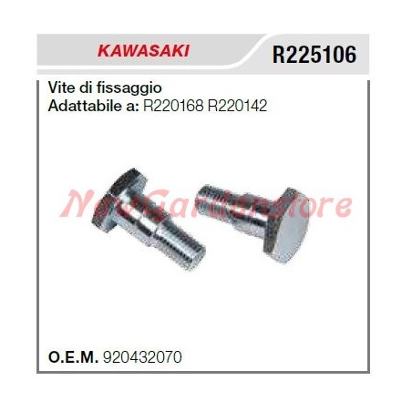 Vis de fixation de l'embrayage KAWASAKI débroussailleuse TD40 TD70 R225106 | Newgardenstore.eu
