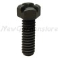 Carburettor flange screw lawn tractor compatible BRIGGS & STRATTON