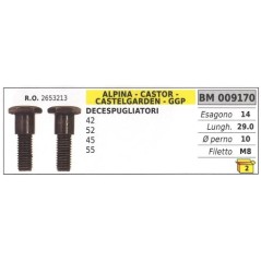 Clutch screw ALPINA brushcutter trimmer 42 52 45 55 009170 | Newgardenstore.eu