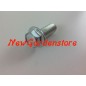 Bolt blade screw lawn tractor lawn mower 10-25 mm HONDA 170243