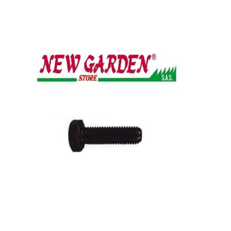 Vis lame boulon tracteur tondeuse UNIVERSAL 170281 25 mm 5/16 | Newgardenstore.eu