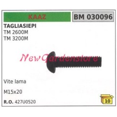 KAAZ blade screw TM 2600M 030096