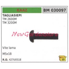 KAAZ blade screw TM 2600M 030097