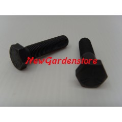 Tornillo cubo cuchilla izquierda TC tractor cortacésped 3/8" 37 mm | Newgardenstore.eu