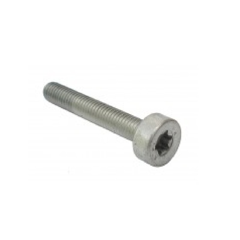 Screw for STIHL compatible cylinder for chainsaw MS210 MS230 MS250 021 023 025