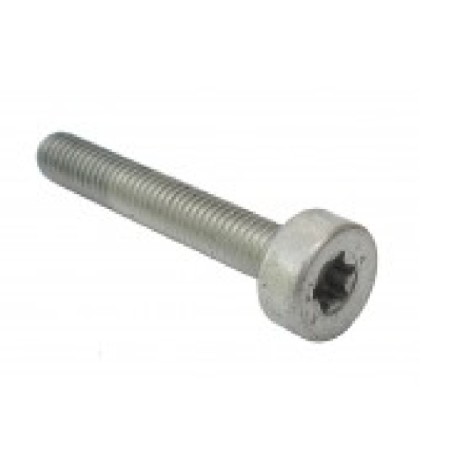 Screw for STIHL compatible cylinder for chainsaw MS210 MS230 MS250 021 023 025 | Newgardenstore.eu