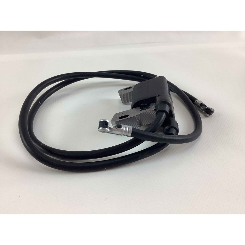 Bobina di accensione Briggs & Stratton 9-18 CV Vanguard Motor 491312 715231 495859 490586 Bobina di accensione Briggs & Stratton 9-18 CV Vanguard Motor 491312 715231 495859 490586