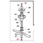 ORIGINAL GIANNI FERRARI blade plate pulley screw GTM155 professional machine