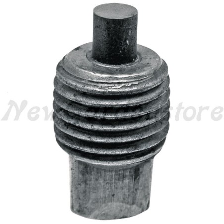 Tornillo de purga de aceite compatible con tractores de césped BRIGGS & STRATTON 691663 | Newgardenstore.eu