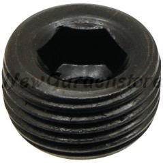 ORIGINAL LONCIN lawn tractor oil drain screw 110260026-0001 | Newgardenstore.eu