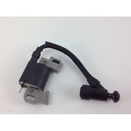 DAYEE ignition coil for 200 CC mower engine DY 21SQ 027760 | Newgardenstore.eu