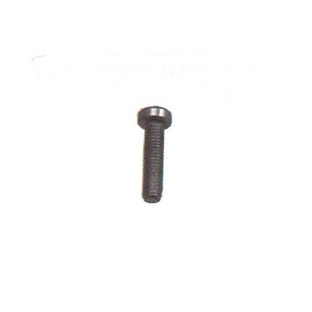 Screw UNI 10227 shaker MAORI 5x16 mm MAGIKO 4x4 - 046223 | Newgardenstore.eu