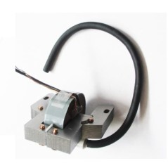 BRIGGS & STRATTON compatible electronic ignition coil for 2 HP lawn tractor | Newgardenstore.eu