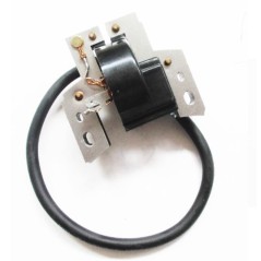 BRIGGS STRATTON compatible electronic ignition coil for lawn mower EUROPA 802574 | Newgardenstore.eu
