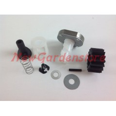 Starter motor repair pinion kit compatible BRIGGS & STRATTON 260772 | Newgardenstore.eu