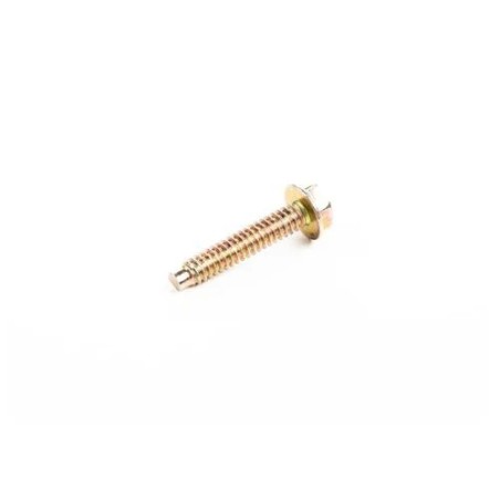 ORIGINAL BRIGGS & STRATTON lawn mower motor screw 692583 | Newgardenstore.eu