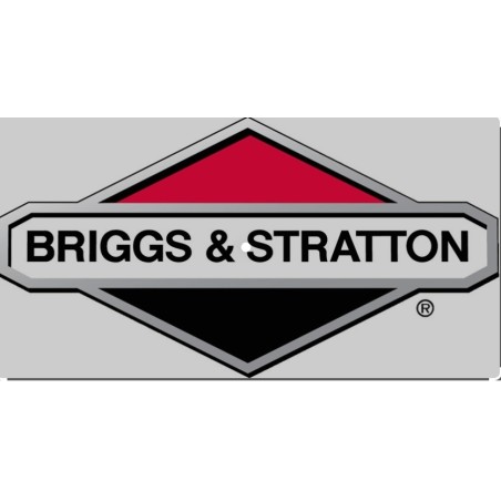 Arbre d'entraînement de tondeuse à gazon BRIGGS & STRATTON d'origine 694440 | Newgardenstore.eu