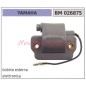 Bobina de encendido electrónico externo motor YAMAHA 026875