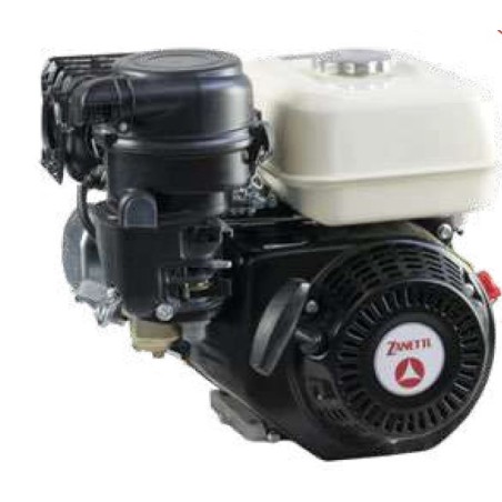 Kompletter Benzinmotor ZBM 210 L2EV ZANETTI Euro 5 zylindrisch 19,05 mm 208 cc | Newgardenstore.eu