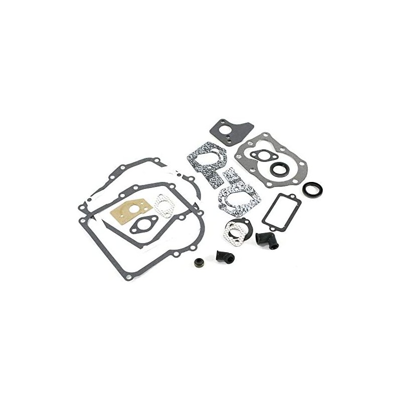 Jeu de joints d'origine BRIGGS & STRATTON pour moteur de tondeuse à gazon 495605