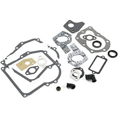 Original BRIGGS & STRATTON lawn mower engine gasket set 495605 | Newgardenstore.eu