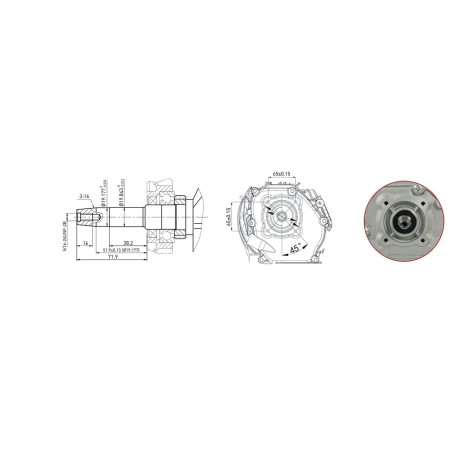 Complete motor ZANETTI ZBM210C2V bevel gearbox 19.5 mm horizontal bevel gearbox