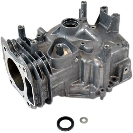 Original BRIGGS & STRATTON engine cylinder assembly with oil pan included | Newgardenstore.eu