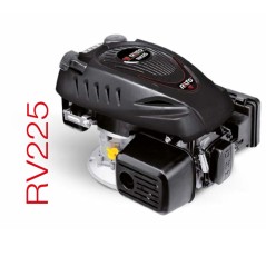 Kompletter Motor RATO RV225 223cc 25X80 Rasenmäher mit Bremse und Schalldämpfer | Newgardenstore.eu