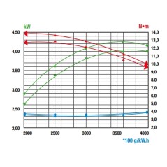 Motore completo RATO RV225 225cc 25X80 per rasaerba con freno e marmitta | Newgardenstore.eu