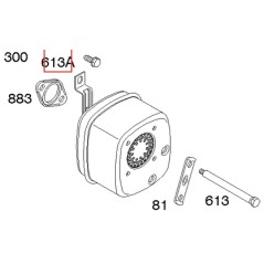 Original BRIGGS & STRATTON lawn mower motor screw 691678 | Newgardenstore.eu