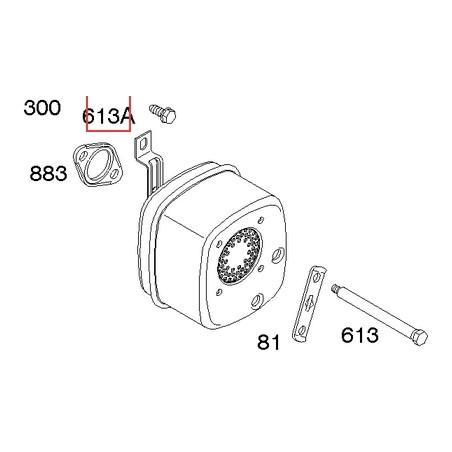 Original BRIGGS & STRATTON Rasenmähermotorschraube 691678 | Newgardenstore.eu