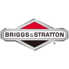 Filo trattorino tagliaerba ORIGINALE BRIGGS & STRATTON 690642 | Newgardenstore.eu