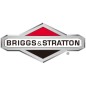 Tube de tracteur de pelouse BRIGGS & STRATTON ORIGINAL 690773