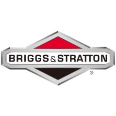 Staffa motore trattorino tagliaerba ORIGINALE BRIGGS & STRATTON 691461