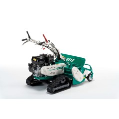 Selbstfahrender Schlegelmäher OREC HRC813 Motor HONDA 389ccm, Raupe, Arbeitsbreite 80 cm | Newgardenstore.eu