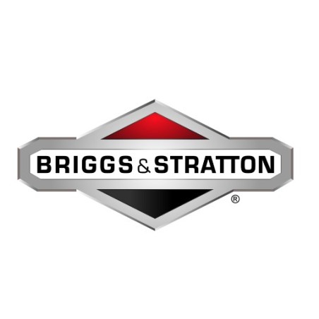 ORIGINAL BRIGGS & STRATTON Knauf für Rasentraktor 092698MA | Newgardenstore.eu