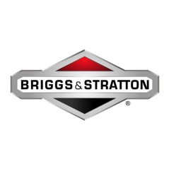 ORIGINAL BRIGGS & STRATTON Motormutter für Rasentraktor 002X94MA