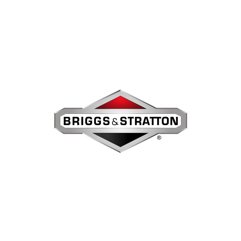 ORIGINAL BRIGGS & STRATTON Motormutter für Rasentraktor 002X94MA