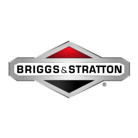 ORIGINAL BRIGGS & STRATTON Motormutter für Rasentraktor 002X94MA | Newgardenstore.eu