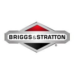 Vis ORIGINALE BRIGGS & STRATTON pour moteur de tracteur de pelouse 009X52MA | Newgardenstore.eu