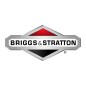 ORIGINAL BRIGGS & STRATTON Rasentraktor-Motorschraube 009X52MA