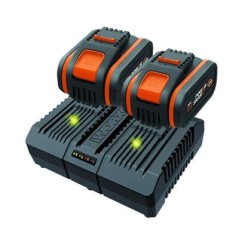 Kit WORX power 20+20 avec 2 batteries 4,0 Ah + chargeur DUAL STANDARD | Newgardenstore.eu