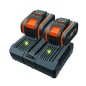 Kit WORX power 20+20 avec 2 batteries 4,0 Ah + chargeur DUAL STANDARD