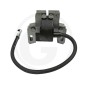 BRIGGS & STRATTON compatible ignition coil 18270080 590454