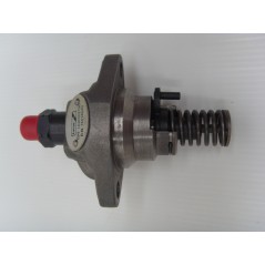 Engine injection pump 6LD325/326/260 LOMBARDINI 6590.136 6F.15.6590.55 | Newgardenstore.eu