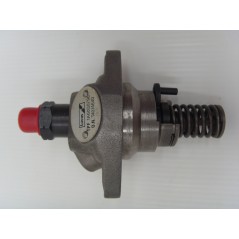 Engine injection pump 6LD325/326/260 LOMBARDINI 6590.136 6F.15.6590.55 | Newgardenstore.eu